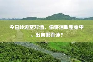 今日岭边空对酒，偷将泪眼望秦中。出自哪首诗？