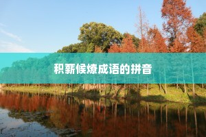 积薪候燎成语的拼音