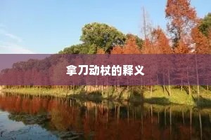 拿刀动杖的释义