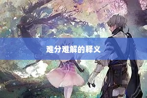 难分难解的释义