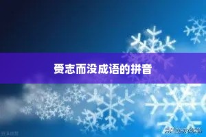 赍志而没成语的拼音