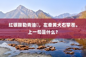 红银鞍勒青油韁，左牵黄犬右擎苍。上一句是什么？
