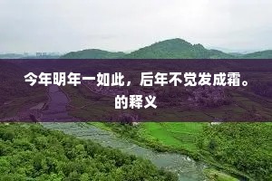 今年明年一如此，后年不觉发成霜。的释义