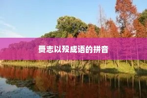 赍志以殁成语的拼音