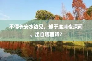 不得长安水边见，却于湓浦夜深闻。出自哪首诗？