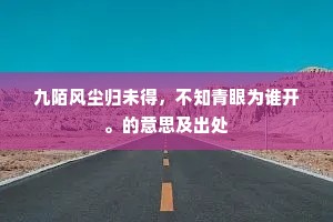 九陌风尘归未得，不知青眼为谁开。的意思及出处
