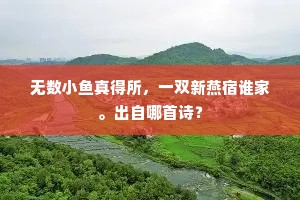 无数小鱼真得所，一双新燕宿谁家。出自哪首诗？