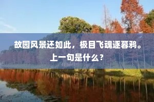 故园风景还如此，极目飞魂逐暮鸦。上一句是什么？