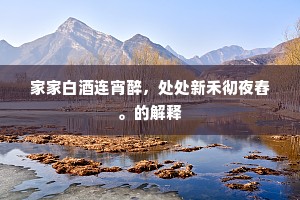 家家白酒连宵醉，处处新禾彻夜舂。的解释