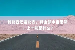 我复西还君北去，箕山颍水自萧然。上一句是什么？