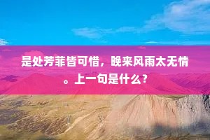 是处芳菲皆可惜，晚来风雨太无情。上一句是什么？