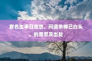 宦名生事日悠悠，问道参禅已白头。的意思及出处