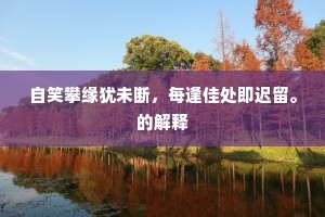 自笑攀缘犹未断，每逢佳处即迟留。的解释