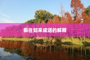 极往知来成语的解释