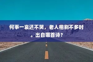 何事一哀还不哭，老人相别不多时。出自哪首诗？