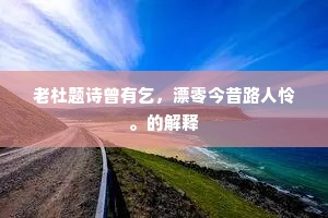 老杜题诗曾有乞，漂零今昔路人怜。的解释