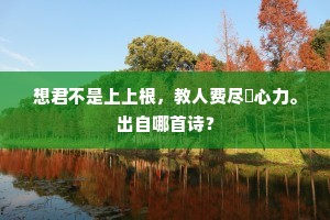 想君不是上上根，教人费尽閒心力。出自哪首诗？