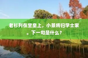 老杉列在堂皇上，小景将归学士家。下一句是什么？