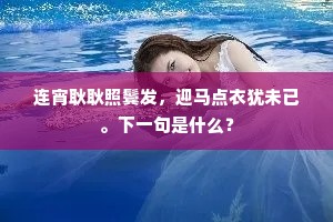 连宵耿耿照鬓发，迎马点衣犹未已。下一句是什么？