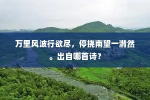 万里风波行欲尽，停挠南望一潸然。出自哪首诗？