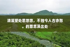 清溪望处思悠悠，不独今人古亦愁。的意思及出处