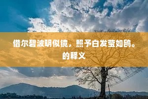 借尔碧波明似镜，照予白发莹如鸥。的释义