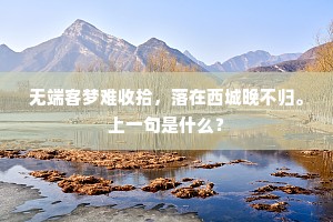 无端客梦难收拾，落在西城晚不归。上一句是什么？