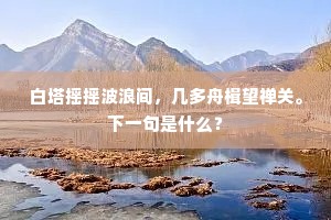 白塔摇摇波浪间，几多舟楫望禅关。下一句是什么？