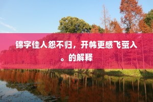 锦字佳人怨不归，开帏更感飞萤入。的解释