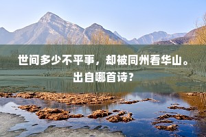 世间多少不平事，却被同州看华山。出自哪首诗？