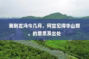 我到左冯今几月，何尝见得华山颜。的意思及出处