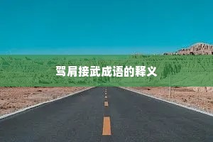 驾肩接武成语的释义