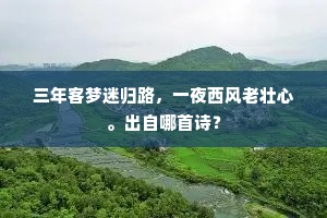 三年客梦迷归路，一夜西风老壮心。出自哪首诗？