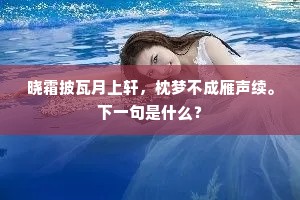 晓霜披瓦月上轩，枕梦不成雁声续。下一句是什么？