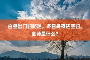 白昼出门归路迷，冬日易夜还空归。全诗是什么？