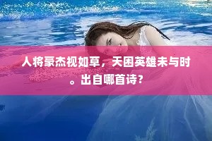 人将豪杰视如草，天困英雄未与时。出自哪首诗？