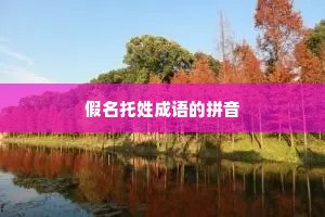 假名托姓成语的拼音