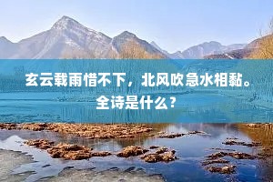 玄云载雨惜不下，北风吹急水相黏。全诗是什么？