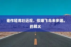 谁作轻鸢壮远观，似嫌飞鸟未多端。的释义