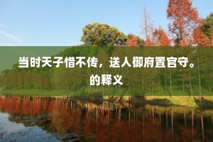 当时天子惜不传，送人御府置官守。的释义