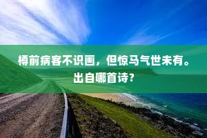 樽前病客不识画，但惊马气世未有。出自哪首诗？