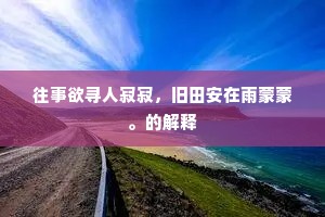 往事欲寻人寂寂，旧田安在雨蒙蒙。的解释