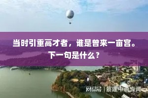 当时引重高才者，谁是曾来一亩宫。下一句是什么？