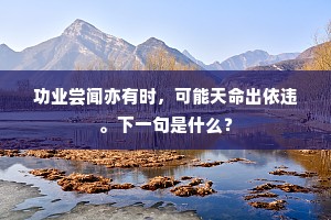功业尝闻亦有时，可能天命出依违。下一句是什么？