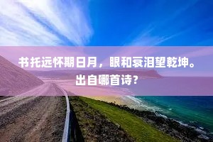 书托远怀期日月，眼和衰泪望乾坤。出自哪首诗？