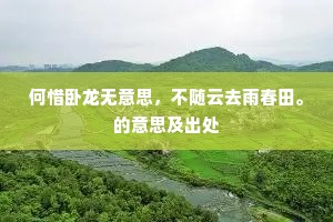 何惜卧龙无意思，不随云去雨春田。的意思及出处