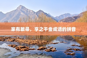 家有敝帚，享之千金成语的拼音