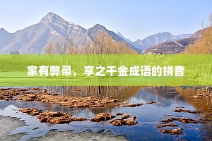 家有弊帚，享之千金成语的拼音