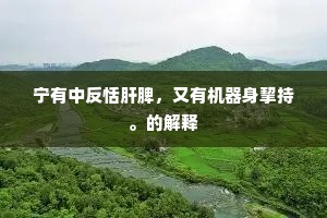宁有中反恬肝脾，又有机器身挈持。的解释