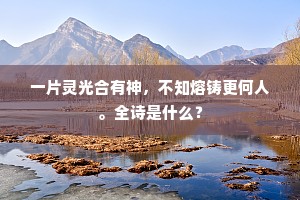一片灵光合有神，不知熔铸更何人。全诗是什么？